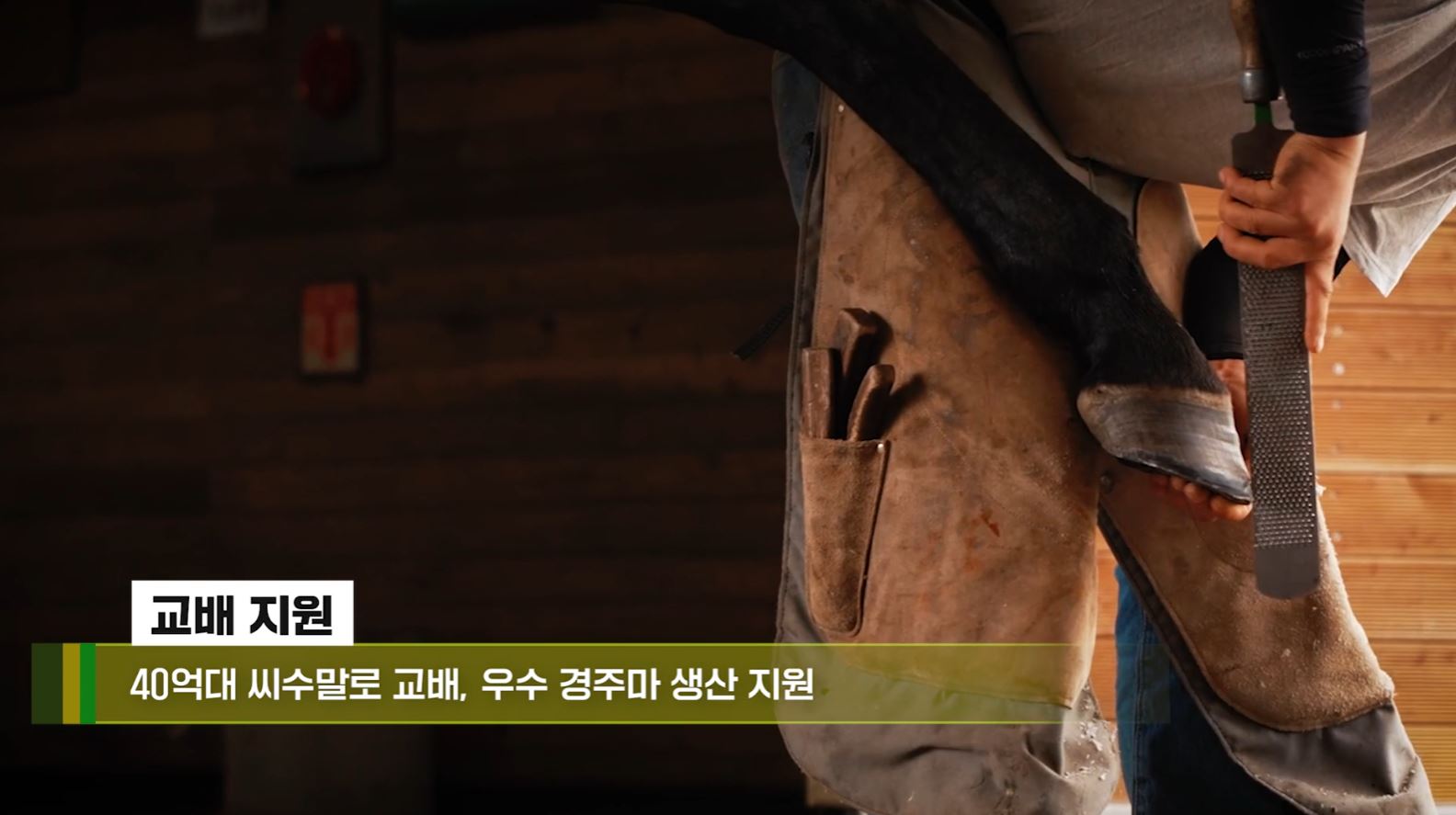 제주목장 홍보영상 스틸컷 4