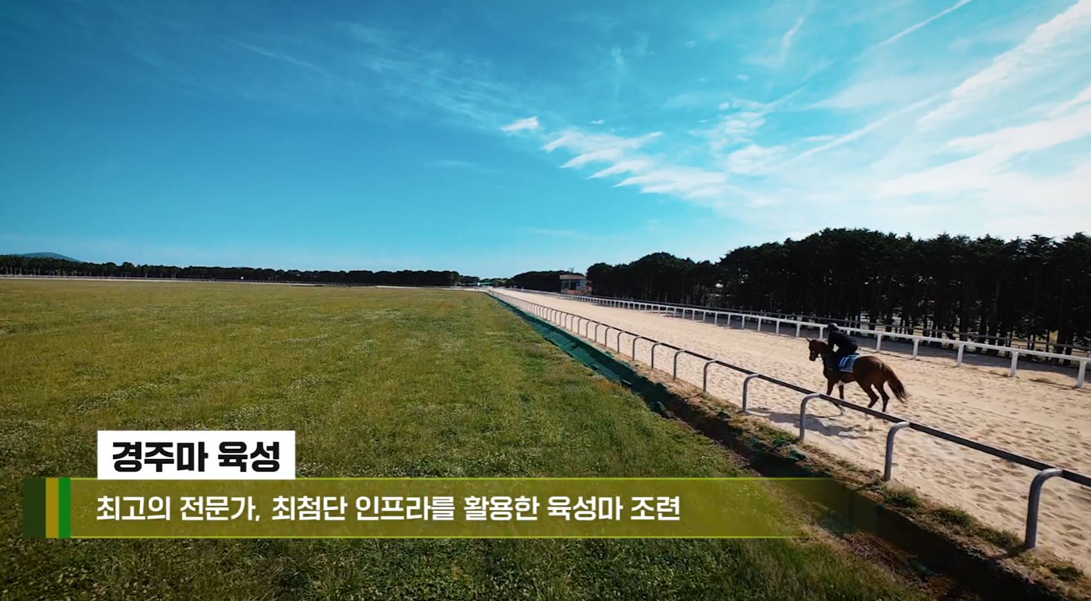 제주목장 홍보영상 스틸컷 5