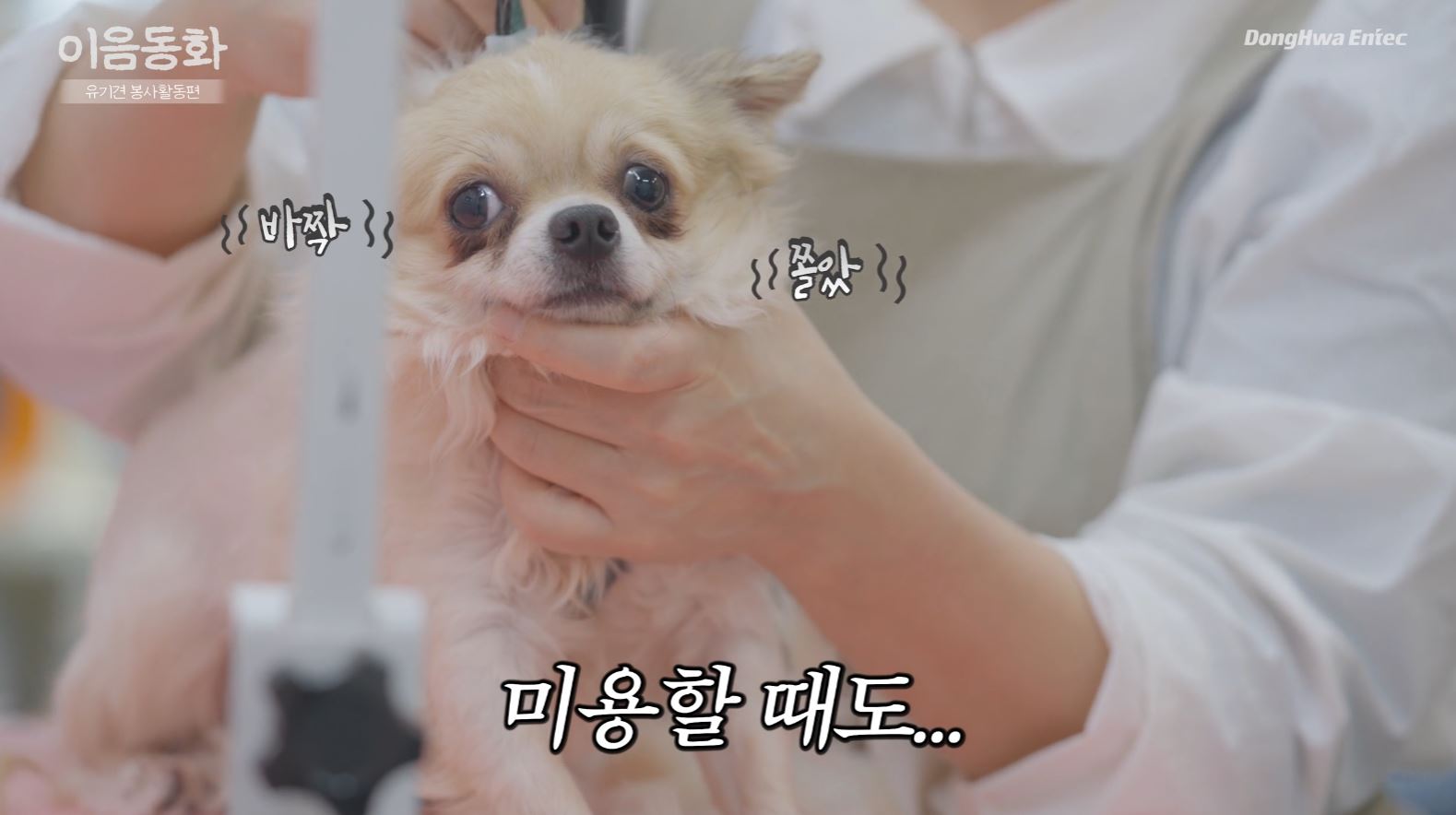 동화엔텍 이음동화_유기견 봉사활동_ESG경영활동 홍보영상 스틸컷 3