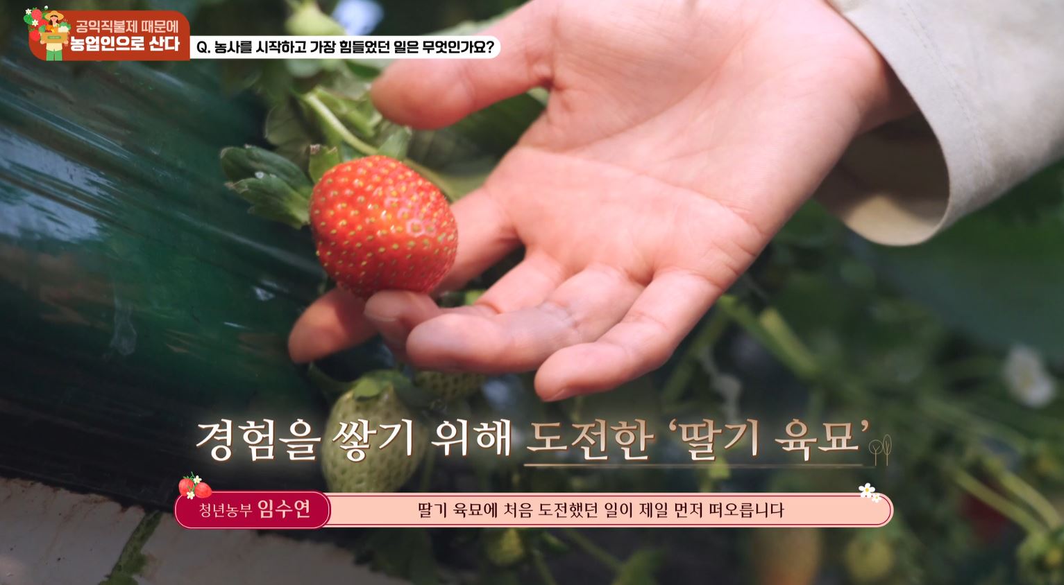 농림축산식품부 농업직불제 우수농업인 인터뷰 스틸컷 1